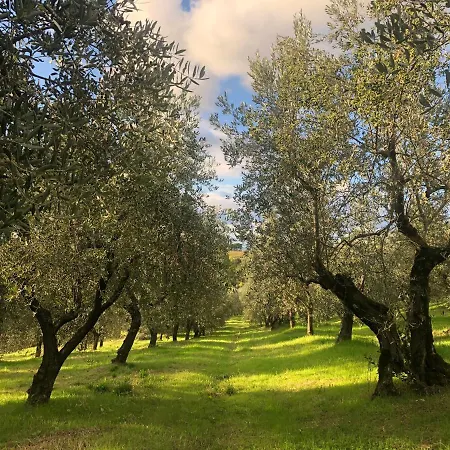 Podere Casato Hills View, Pool, Wifi Tuscany Montespertoli